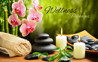 DMind Travels  and Tourism LLC UAE. | Wellness Packages