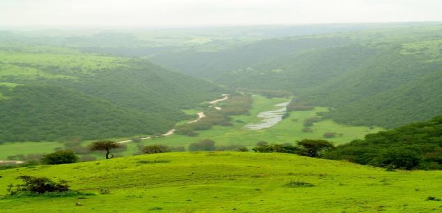 DMind Travels  and Tourism LLC UAE. | Enchanting Salalah